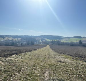 Boucle du château de Lardimalie - Saint-Pierre-de-Chignac - 5