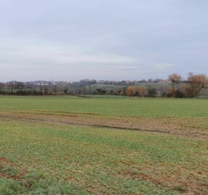 Boucle sportive autour de la Capelle et sa campagne - La Capelle-lès-Boulogne - 5