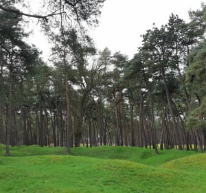 Memorial et forêt de Vimy - Neuville-Saint-Vaast - 4