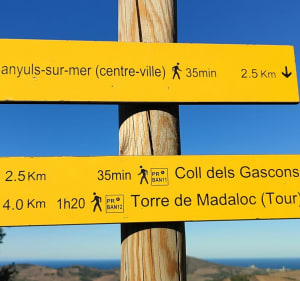 Les hauts de Banyuls - Banyuls-sur-Mer - 5