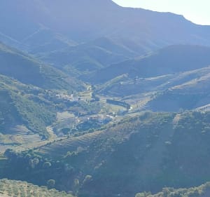 Les hauts de Banyuls - Banyuls-sur-Mer - 4