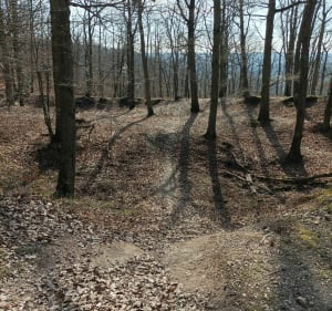 Balade des Vielles Ventes au bois de Baux - Sorel-Moussel - 5