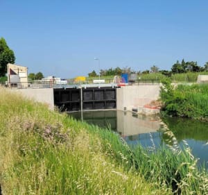 La plaine de Beaucaire par Bellegarde - Beaucaire - 4