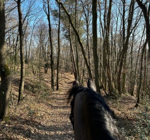 Balade à la lisière des Grands Bois du Marais - Saint-Cyr-sous-Dourdan - 4