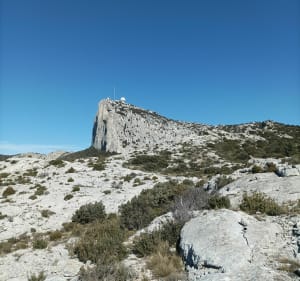 Le Vallon de l'Aigle depuis Plan-d'Aups-Sainte-Baume - Plan-d'Aups-Sainte-Baume - 3