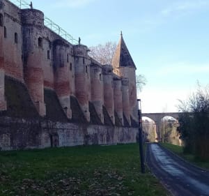 Échappée Verte au fil de l'eau dans ALBI - Albi - 5