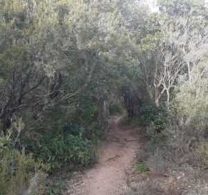Balade Col Auriasque - Fréjus - 4