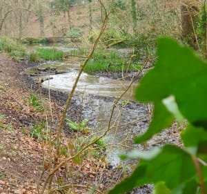 Petite boucle au Bois de Keroual - Guilers - 4