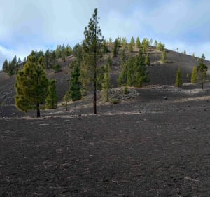 Samara - Cuevas Negras - Santiago del Teide - 3
