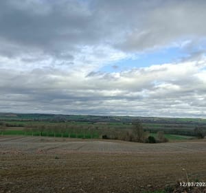 Campagne entre Vieillevigne et Montesquieu-Lauragais - Vieillevigne - 3