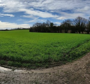 Balade autour de Saint-Pol-sur-Ternoise - Saint-Pol-sur-Ternoise - 3