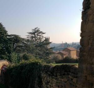 Découverte des alentours de Cogny - Cogny - 4