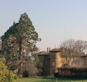 Découverte des alentours de Cogny - Cogny - 5