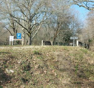 Balade en forêt par Villenave, avec sentier botanique du Bès - Villenave - 3