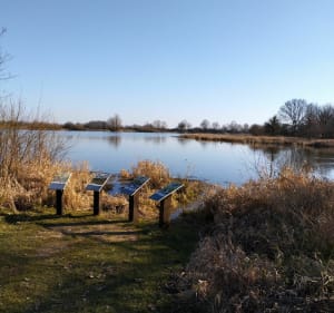 Balade autour de l'étang du Louroux - Manthelan - 4