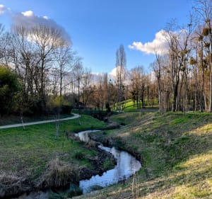 Le long de la Bièvre par le bassin Damoiseaux - Verrières-le-Buisson - 3