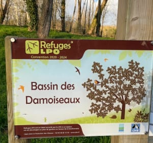 Le long de la Bièvre par le bassin Damoiseaux - Verrières-le-Buisson - 5