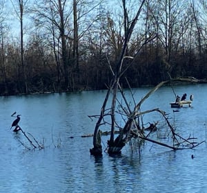 Kleine lus van de Bidot-meren - Villeneuve Tolosane - 3