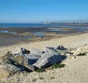 De petits villages en petits villages entre Lagord et l'île-de-Ré - Lagord - 4