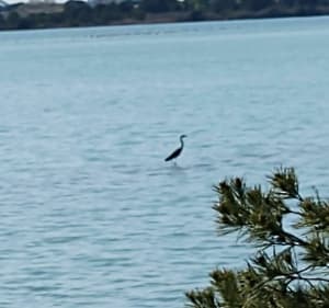 Balade vélo avec les enfants à l'Etang de l'Estomac - Fos-sur-Mer - 3