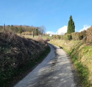 Expédition au départ de Saint-Léger-lès-Domart - Charles - 3