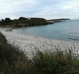 De Keraudren à Trez Rouz en Camaret. - Camaret-sur-Mer - 3
