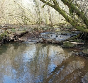 Boucle de Larre Saint Rabier - Châtres - 3
