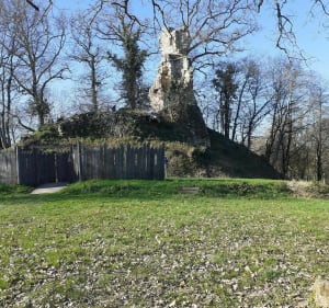 La Boixière et l'étang de Chevré - La Bouëxière - 4