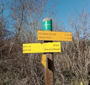Parcours La Saint Hilaroise - Saint-Hilaire-de-Brethmas - 4