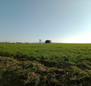 Parcours La Saint Hilaroise - Saint-Hilaire-de-Brethmas - 5