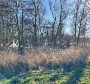 Gîte- en Deûleparken - Houplin-Ancoisne - 4
