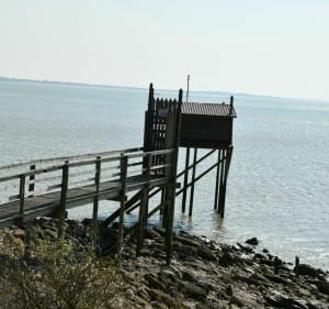 Ronde van de Pointe du Chay - tussen stranden en moerassen - Aytré - 4