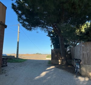 Découverte du vignoble de Canet-en-Roussillon - Canet-en-Roussillon - 3