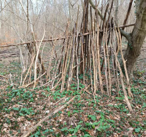 Randonnée dans la forêt d'Hesdin - Huby-Saint-Leu - 3