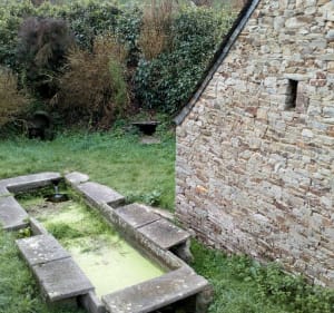 Ribin ar bleiz - Saint-Thégonnec Loc-Eguiner - 4
