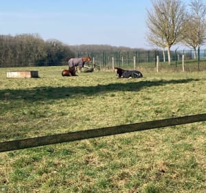 Ballade dans les champs de Bonnieres - Bonnières-sur-Seine - 4