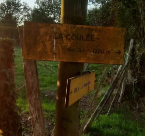 Entre forêt et route par Bel-Air - Vigneux-de-Bretagne - 4
