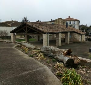 Boucle entre Le Gué de Velluire et La Taillée par le marais - Anne - 4