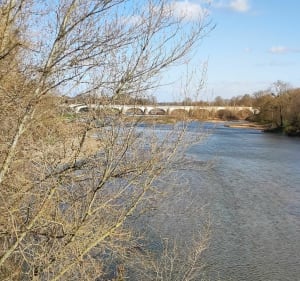 Bords de Loire depuis le pont de la Motte - Fondettes - 5