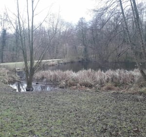 Belle balade en forêt de Bondy - Clichy-sous-Bois - 4