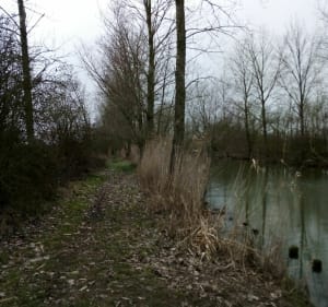 Boucle entre Le Gué de Velluire et La Taillée par le marais - Anne - 3