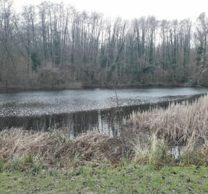 Belle balade en forêt de Bondy - Clichy-sous-Bois - 5