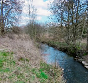Au bord de l'Orge entre Morsang et Épinay - Morsang-sur-Orge - 3