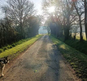Balade au milieu des champs par la Jorandière - Saint-Georges-sur-la-Prée - 3