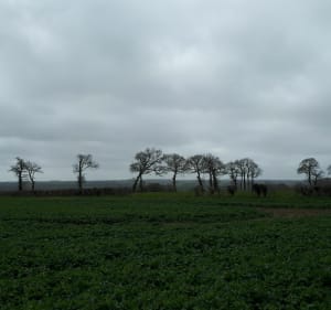 A VTC sur les petites routes au Sud Ouest de Bayeux - Bayeux - 3