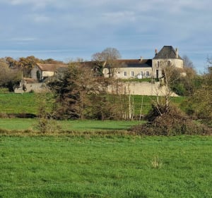 Saint Epain et vallée de la Manse. - Saint-Épain - 5