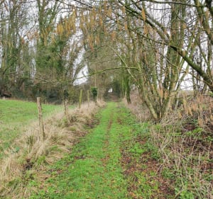 Sur les pas de St Benoît, variante courte de 8km - Troisvaux - 3