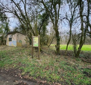 Balade dans la forêt de Selomont - Hussigny-Godbrange - 5