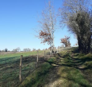 Balade en campagne Asnoisienne - Asnois - 4
