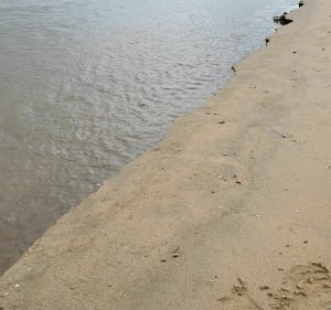 La Belle Henriette. - La Tranche-sur-Mer - 5